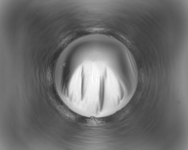 X0000078880380200612111746