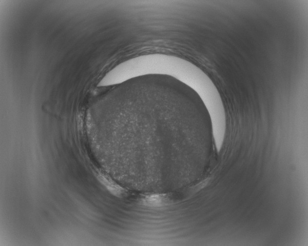 X0000078880382200612111746