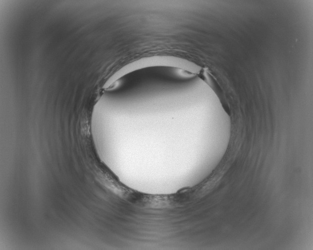 X0000078880384200612111746