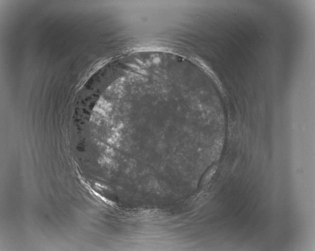 X0000078880385200612111745