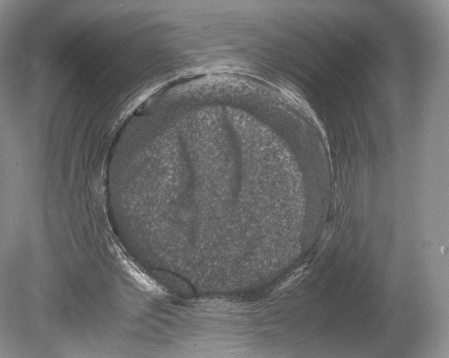 X0000078880389200612111745