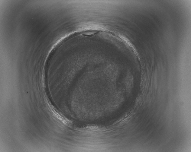 X0000078880391200612111745