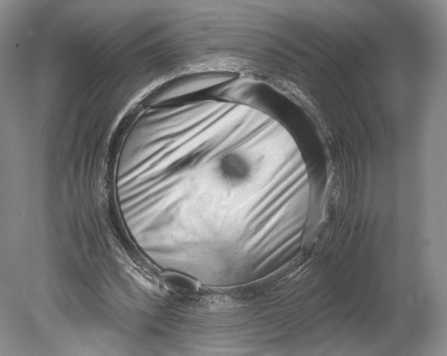 X0000078880392200612111745