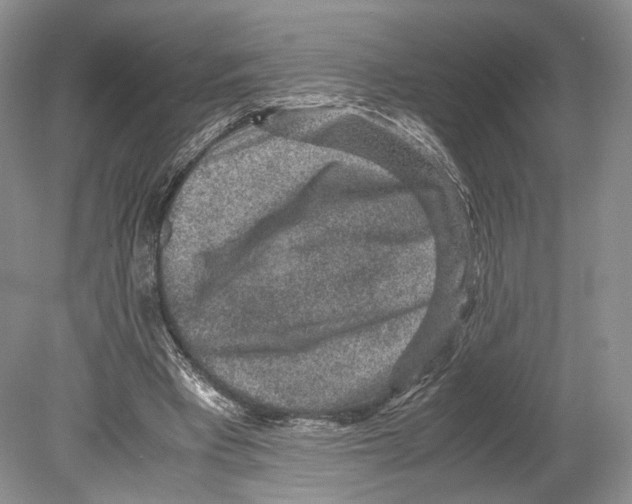 X0000078880393200612111745