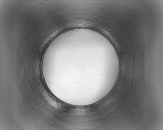 X0000078880394200612111745