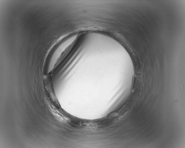 X0000078880395200612111745