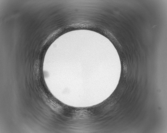 X0000078880396200612111745