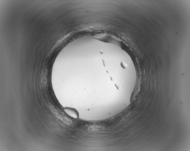 X0000078880400200612111745