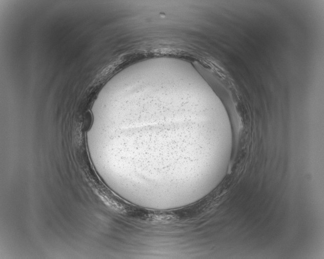 X0000078880401200612111745