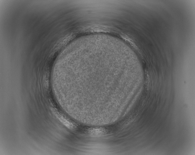 X0000078880402200612111745