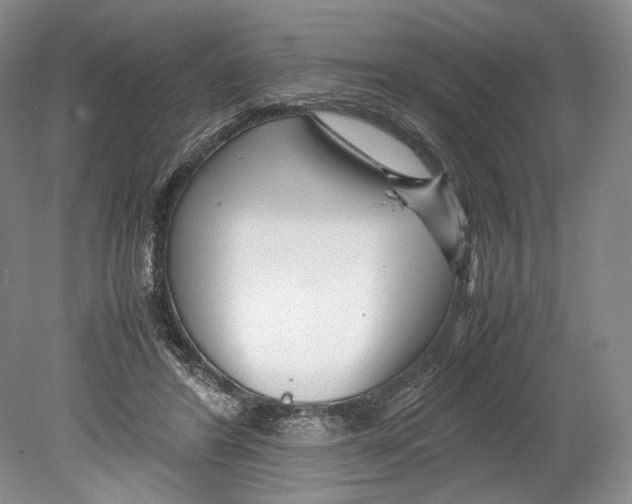 X0000078880404200612111744