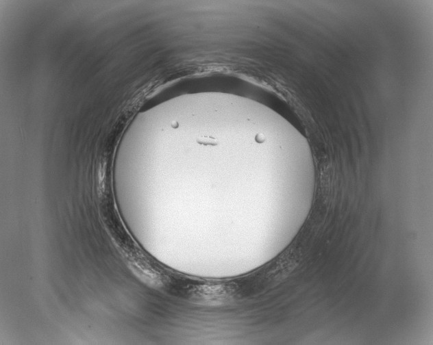 X0000078880406200612111744