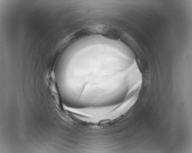 X0000078880409200612111744