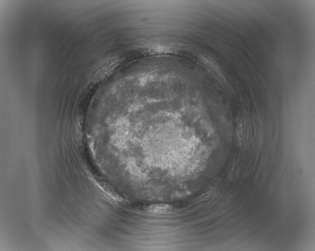 X0000078880410200612111744