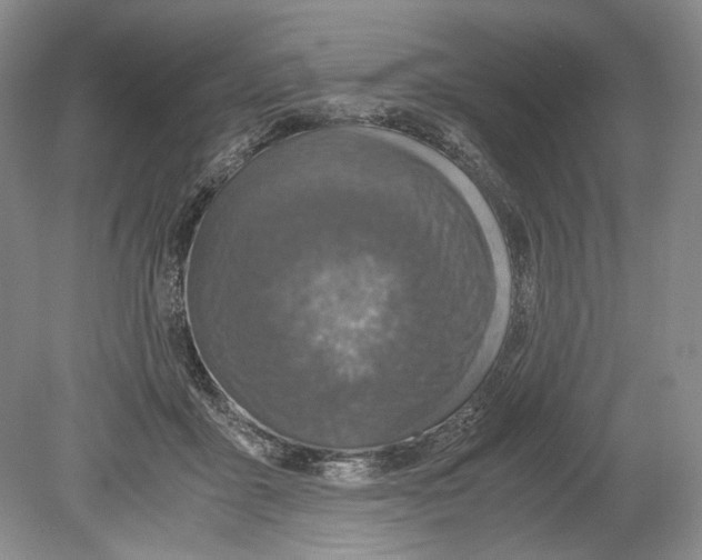 X0000078880411200612111744