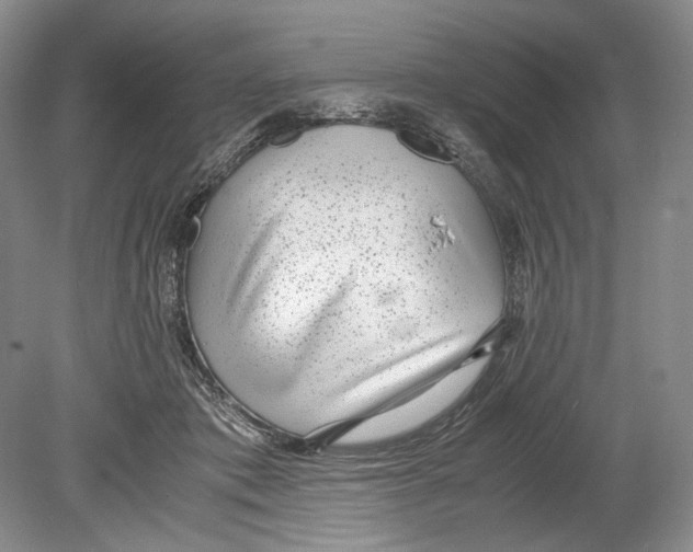 X0000078880413200612111744