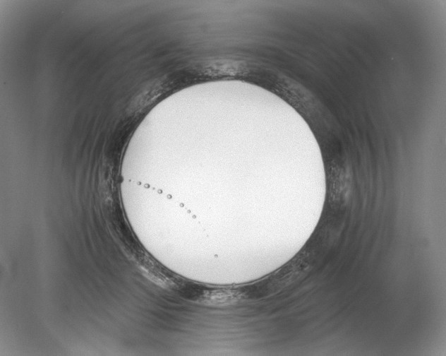 X0000078880414200612111744