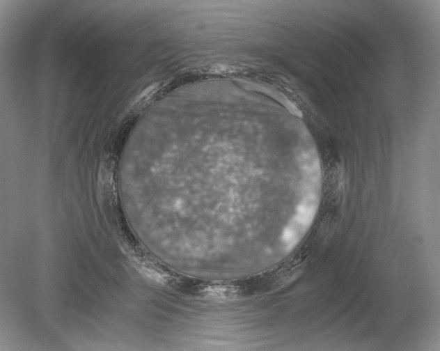 X0000078880415200612111744