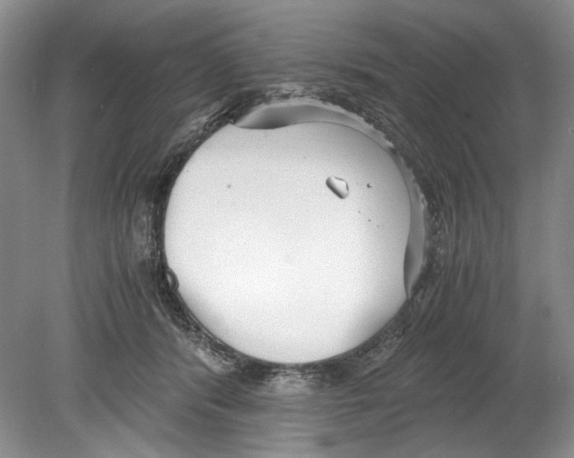 X0000078880416200612111744