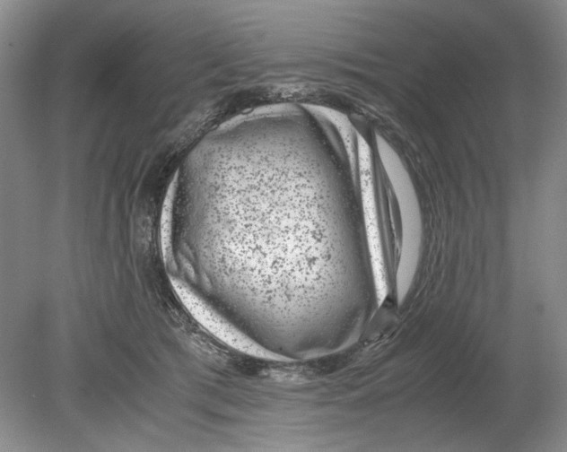 X0000078880417200612111744