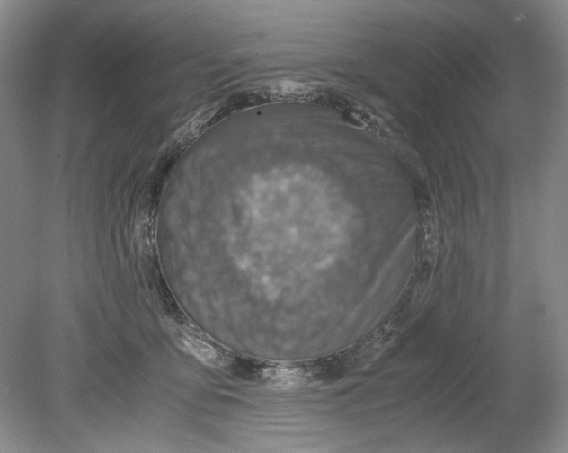 X0000078880419200612111744