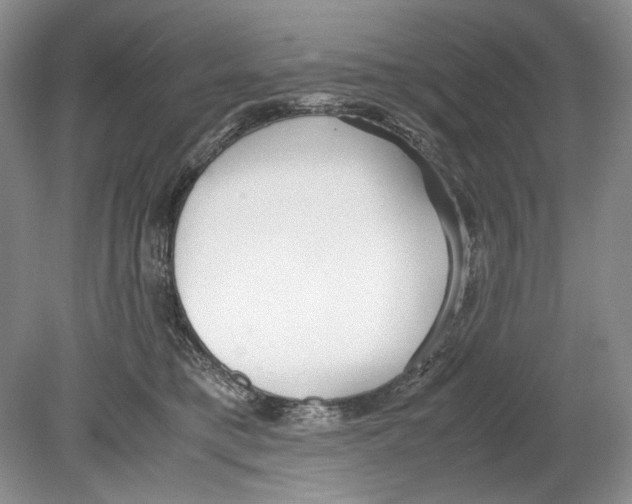 X0000078880421200612111744