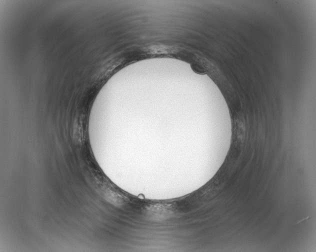 X0000078880422200612111744