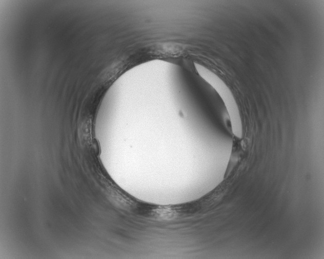 X0000078880425200612111744