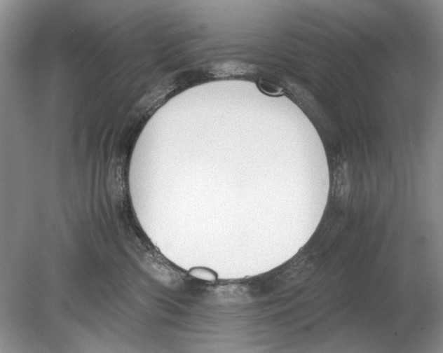 X0000078880426200612111744