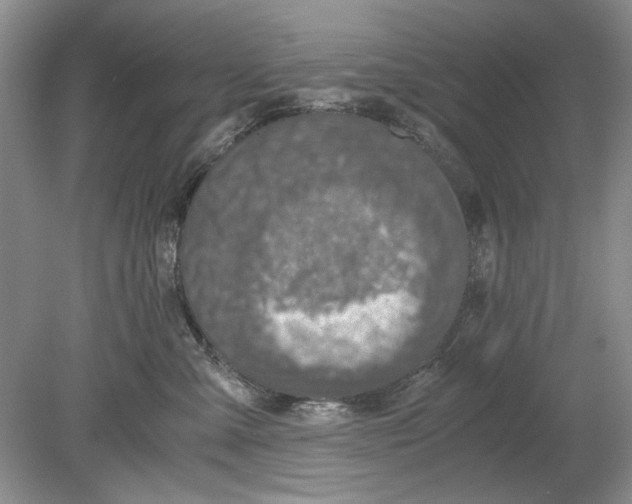 X0000078880427200612111744