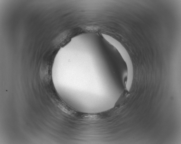 X0000078880428200612111744