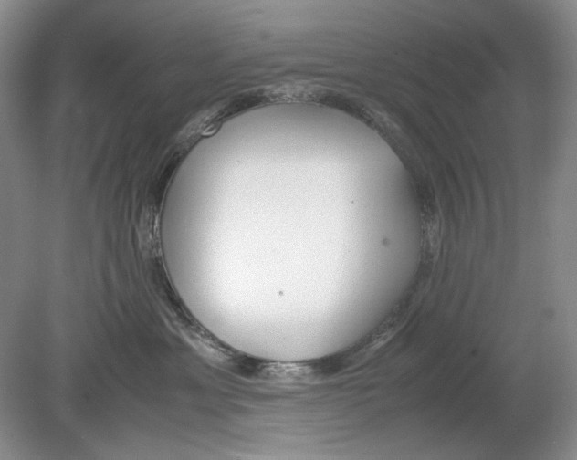 X0000078880429200612111744