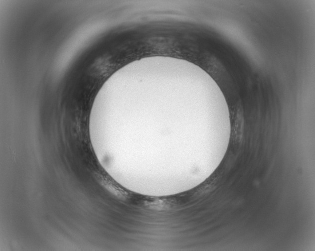 X0000078880430200612111744