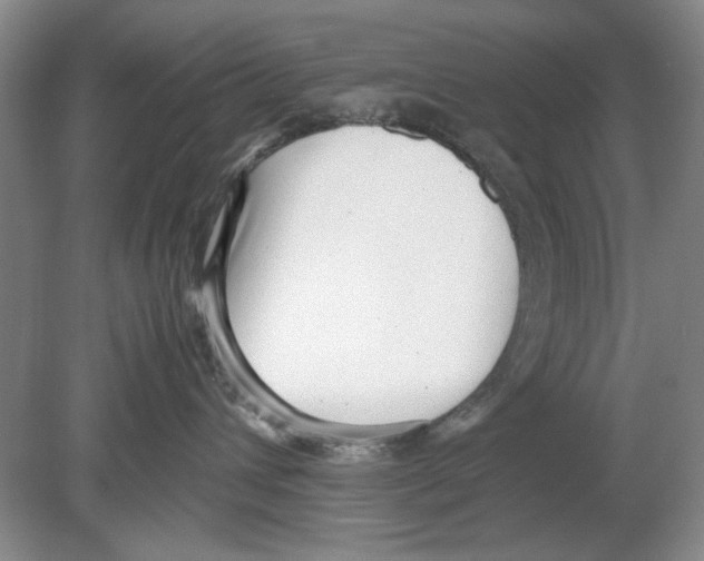 X0000078880432200612111744