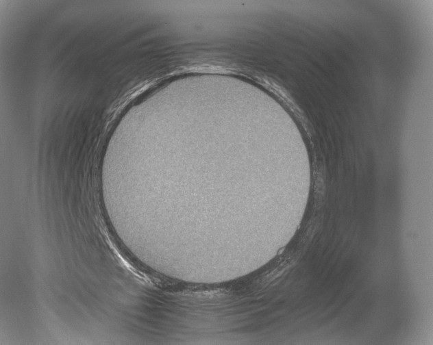 X0000078880433200612111743