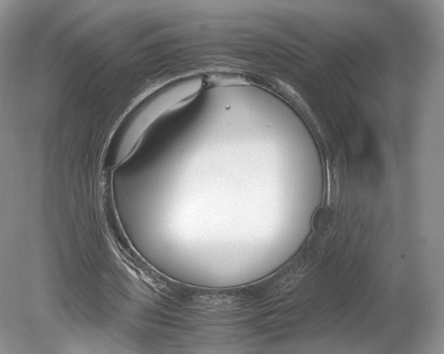 X0000078880435200612111743