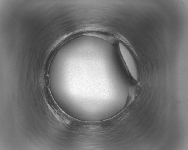 X0000078880436200612111743