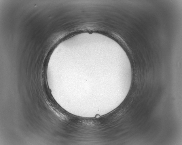 X0000078880439200612111743