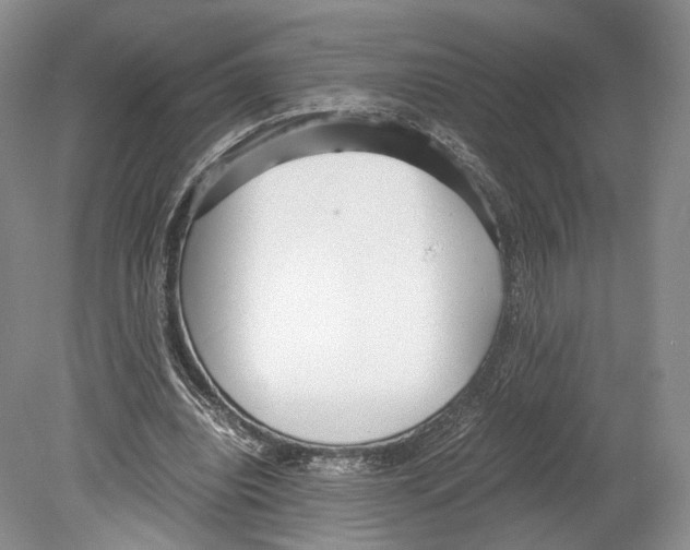 X0000078880440200612111743