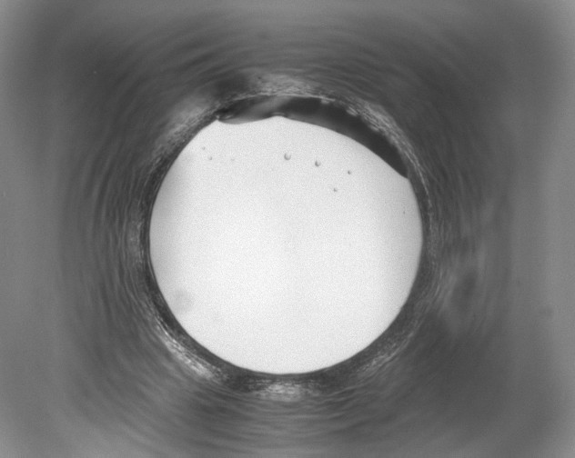 X0000078880441200612111743