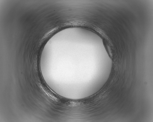 X0000078880442200612111743