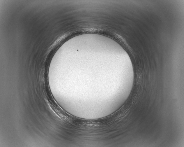 X0000078880443200612111743