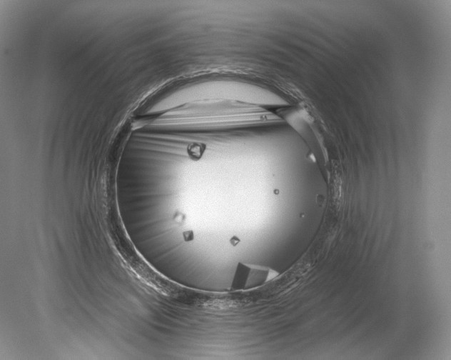 X0000078880444200612111743