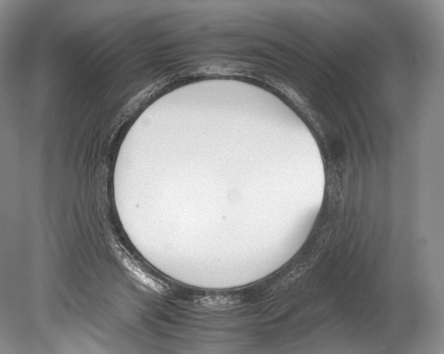 X0000078880445200612111743