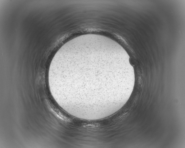 X0000078880447200612111743