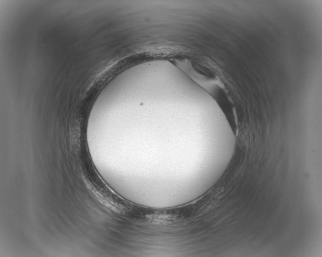 X0000078880448200612111743