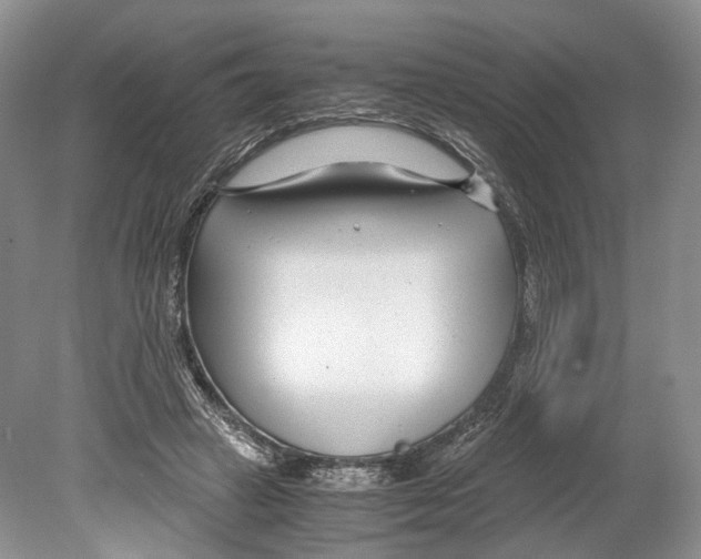 X0000078880449200612111743