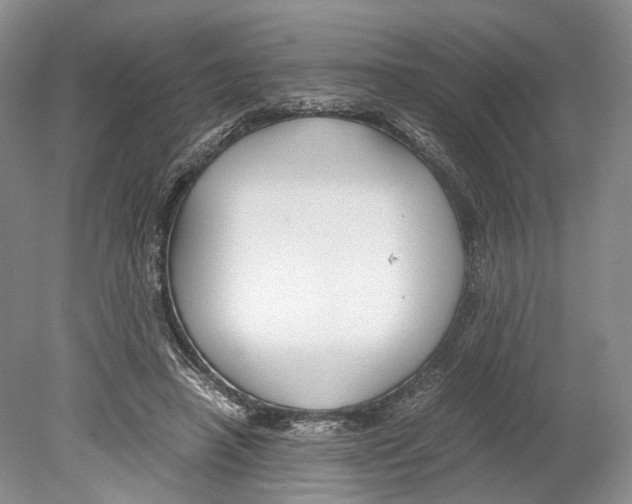 X0000078880450200612111744