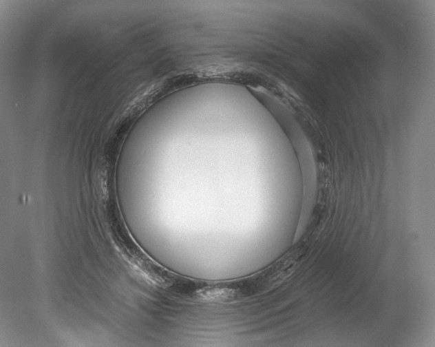 X0000078880452200612111744