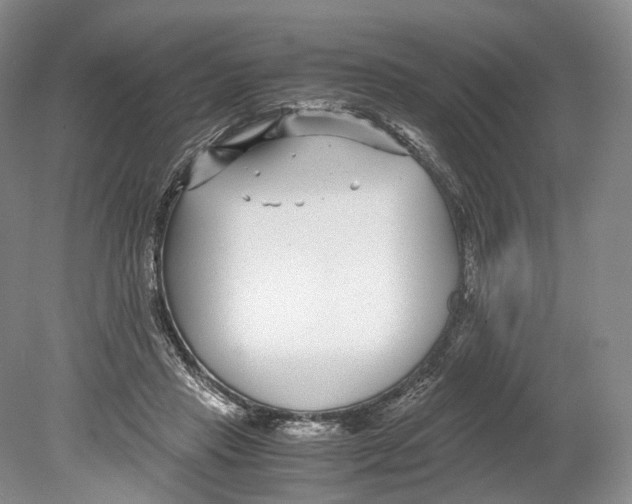 X0000078880453200612111744